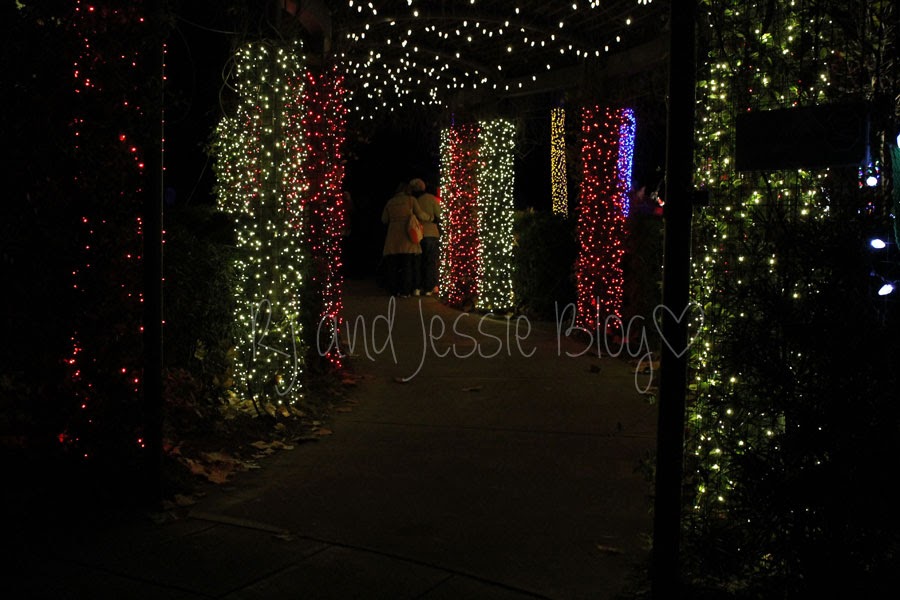 Sunday Snapshot Zoo lights at the Jacksonville zoo