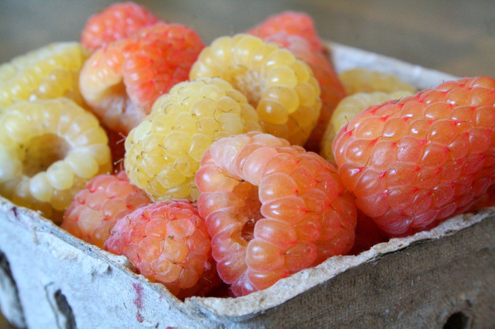My Suburban MicroFarm Gold Raspberries Another Edible Obsessive