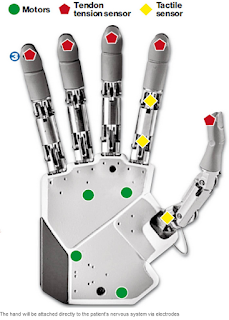 Bionic hand description showing where motors, tendon tension sensor and tactile sensors are