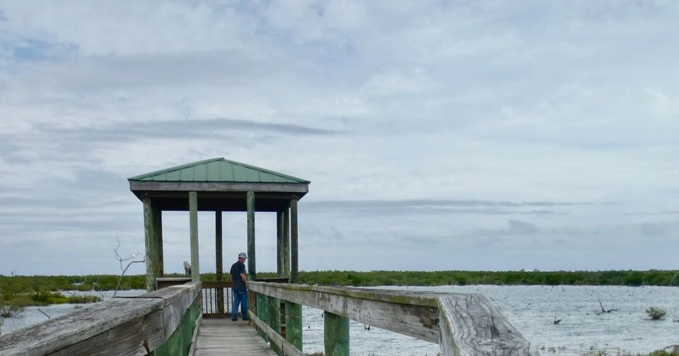 Galley Wench Tales: Pelican Island National Wildlife Refuge Florida