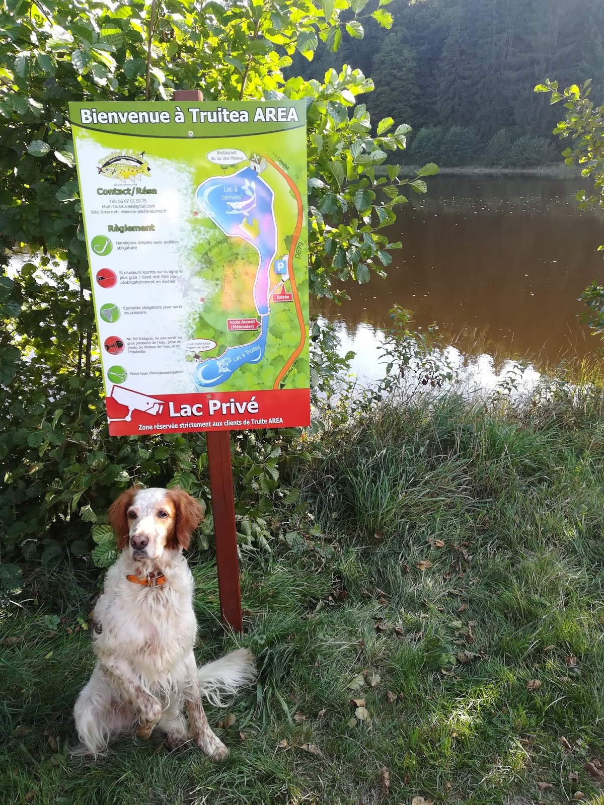 leurre truite area