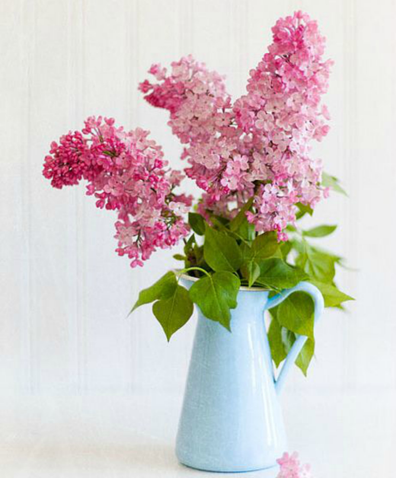 Decor Lilacs / Lilas MIS PAPELICOS