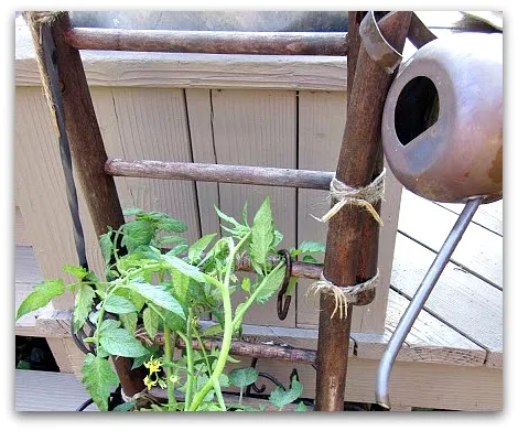 Easy Repurposed broken Chair Ideas for the garden