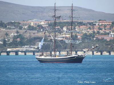 Morgenster (Estrela da Manhã) em Porto Santo