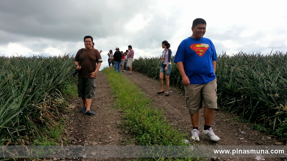 Dole Philippines Pineapple Plantation in Polomolok, South Cotabato