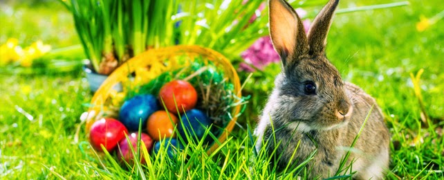 Apaga y vámonos... de au pair: Der Osterhase o el Conejo de Pascua