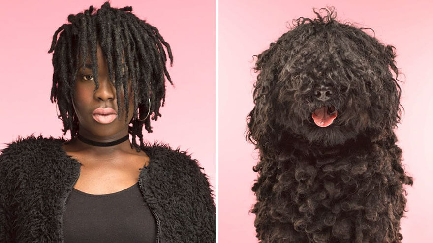 Photographer Puts Dogs Side By Side With Their Owners And Their Resemblance Is The Cutest Thing We Saw Today