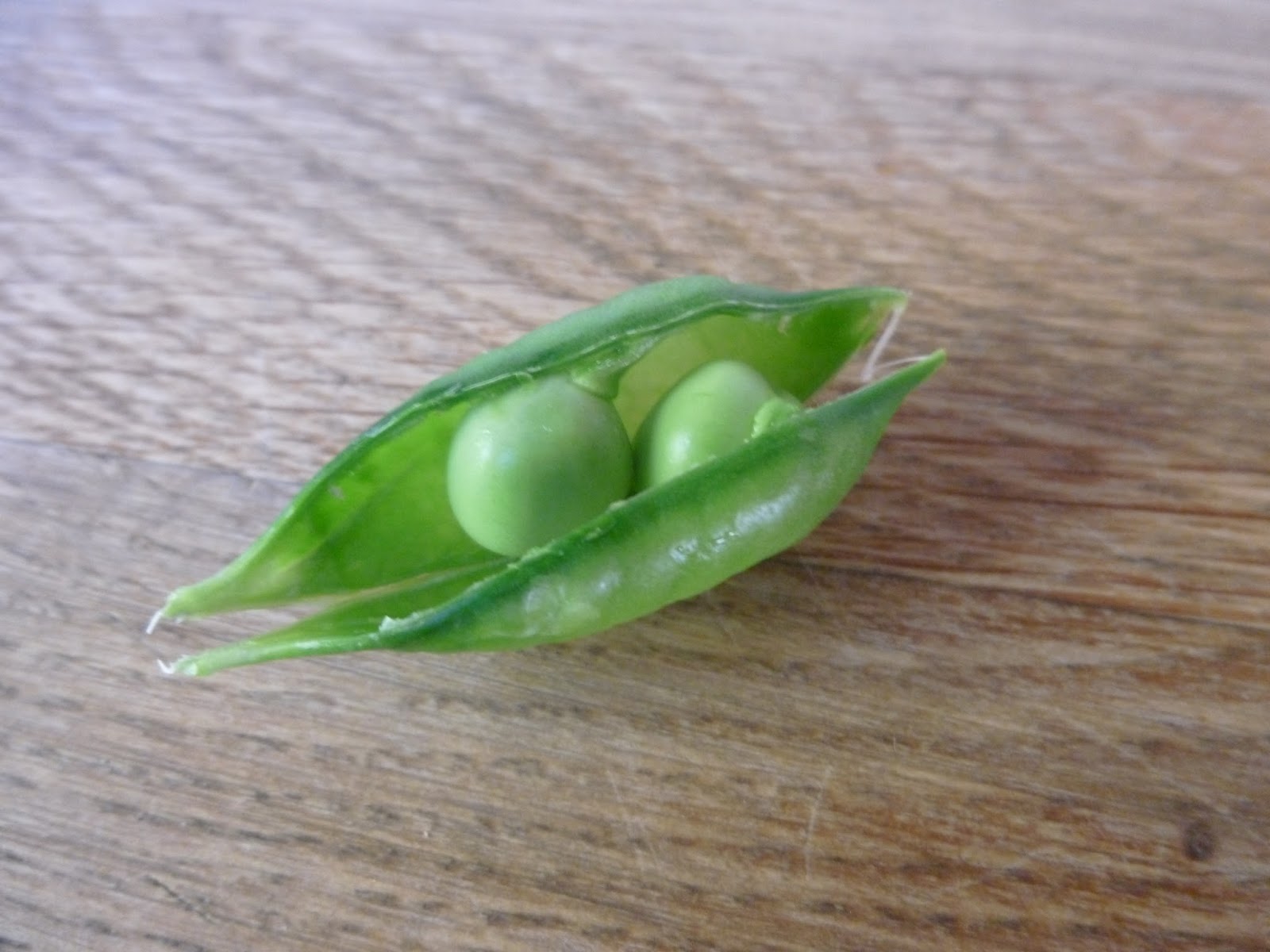 Our New Life in the Country Like Two Peas in a Pod