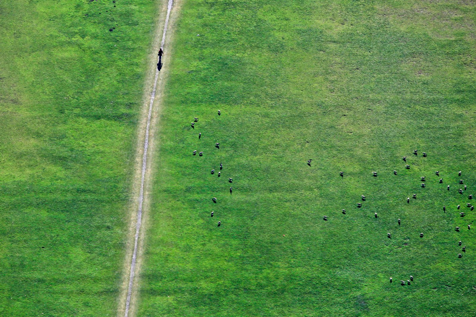 аэрофотоснимки местности. аэросъемка бпла. поле вид сверху. аэрофотосъемка 1:500.