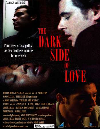 Poster Of The Dark Side of Love 2012 Dual Audio 400MB DVDRip 480p Free Download Watch Online
