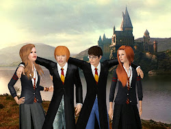 hermione granger sims potter harry talented stuff loyal witch friend fanpop 2nd