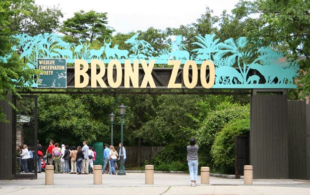 El Bronx Zoo en Nueva York