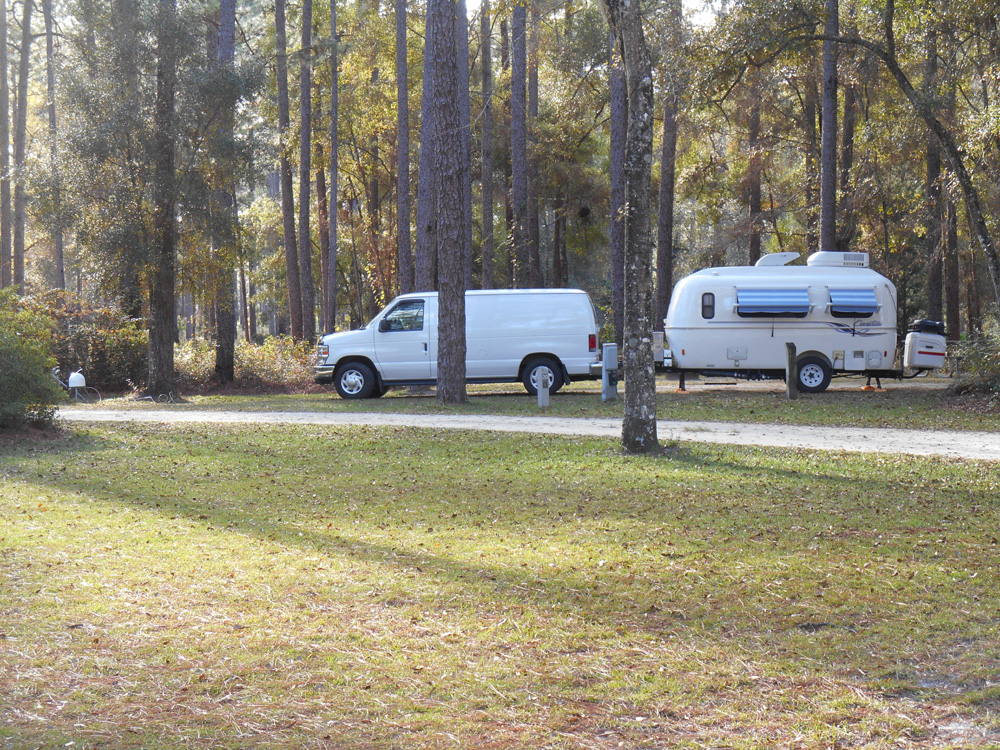 Bob & Sharon'sTravel Adventures Apalachicola NF 11/30/15 Sumatra, FL