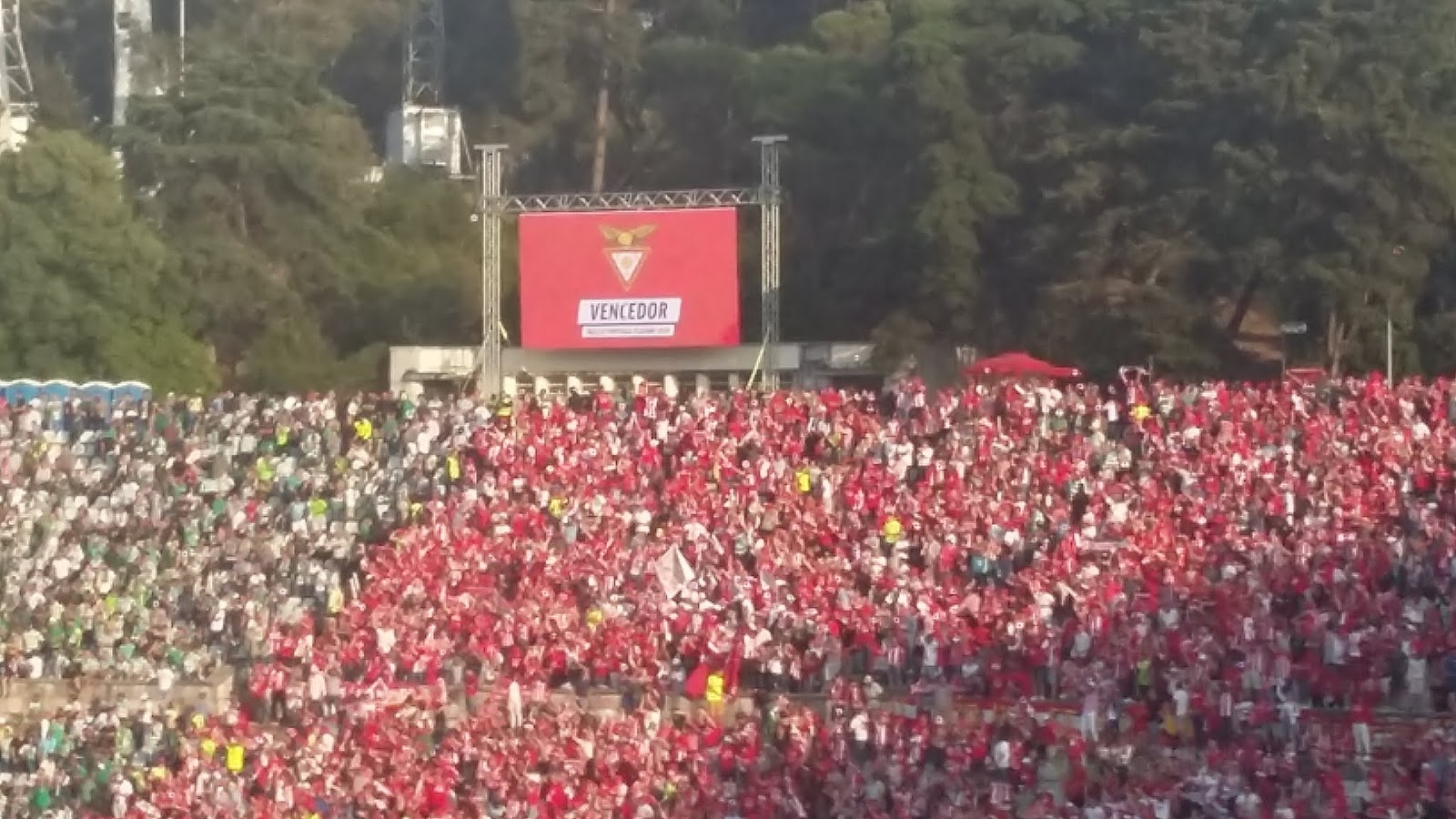 Vila das Aves, 10/30/2018 - The Clube Desportivo das Aves received Sporting  Clube de Portugal this afternoon at the EstÃ¡dio do Clube Desportivo das  Aves, in a game to count for the