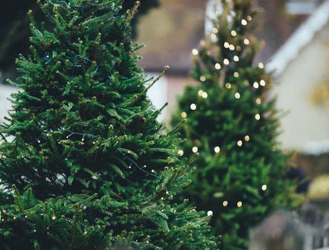 christmas tree images christmas tree images