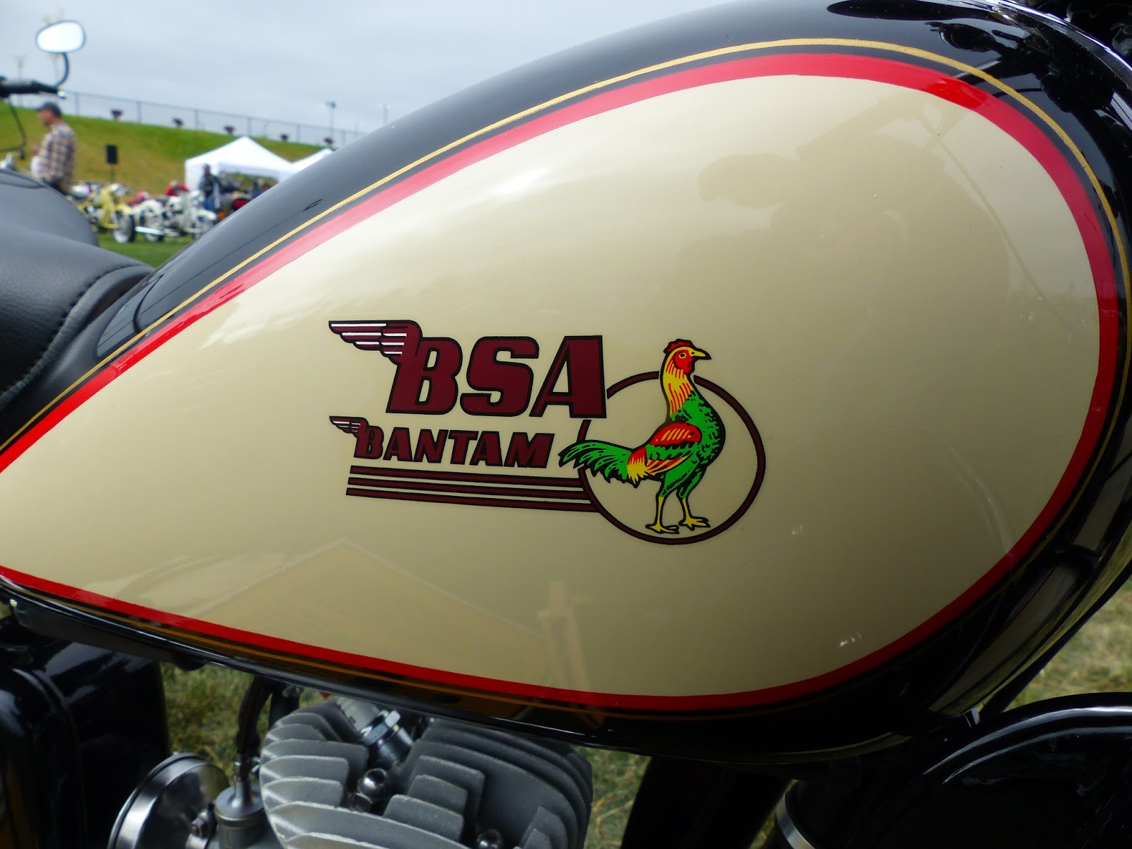1953 bsa bantam