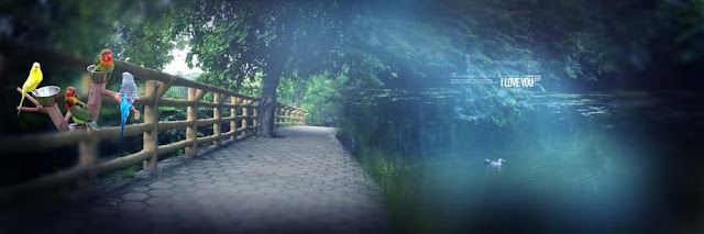 Manipulation Backgrounds PSD For Wedding Magazines Wedding Magazines Background