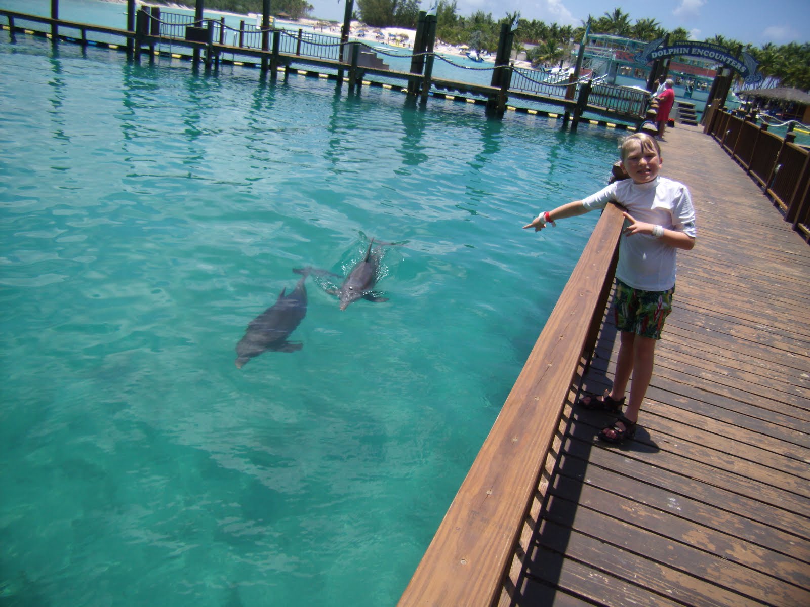 Williams Family The Sea Lion Encounter at Blue Lagoon in the Bahamas