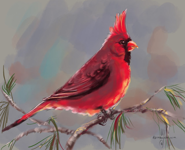 Northern Cardinal bird painting by Artmagenta