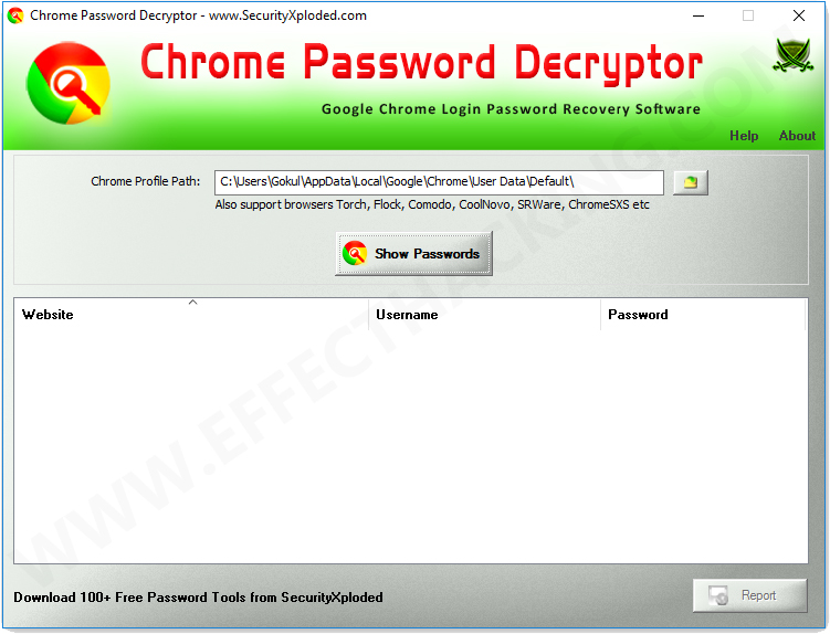 Chrome Password Decryptor Screenshot 1