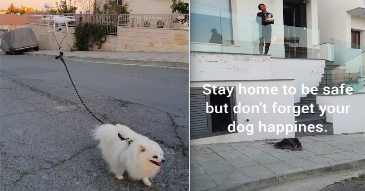 A Man Walks His Dog With A Drone In Face Of Coronavirus Quarantine Measures In Cyprus