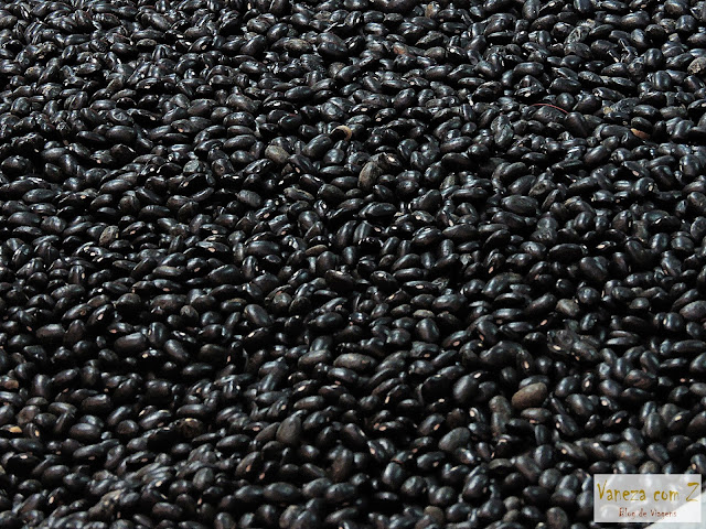 São Joaquim: uma Feira de cores, sabores e formas