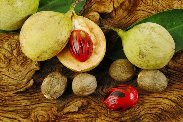 Khasiat Buah Pala Bumbu Dapur Berkhasiat Obat Khasiat Buah Pala Bumbu Dapur Berkhasiat Obat