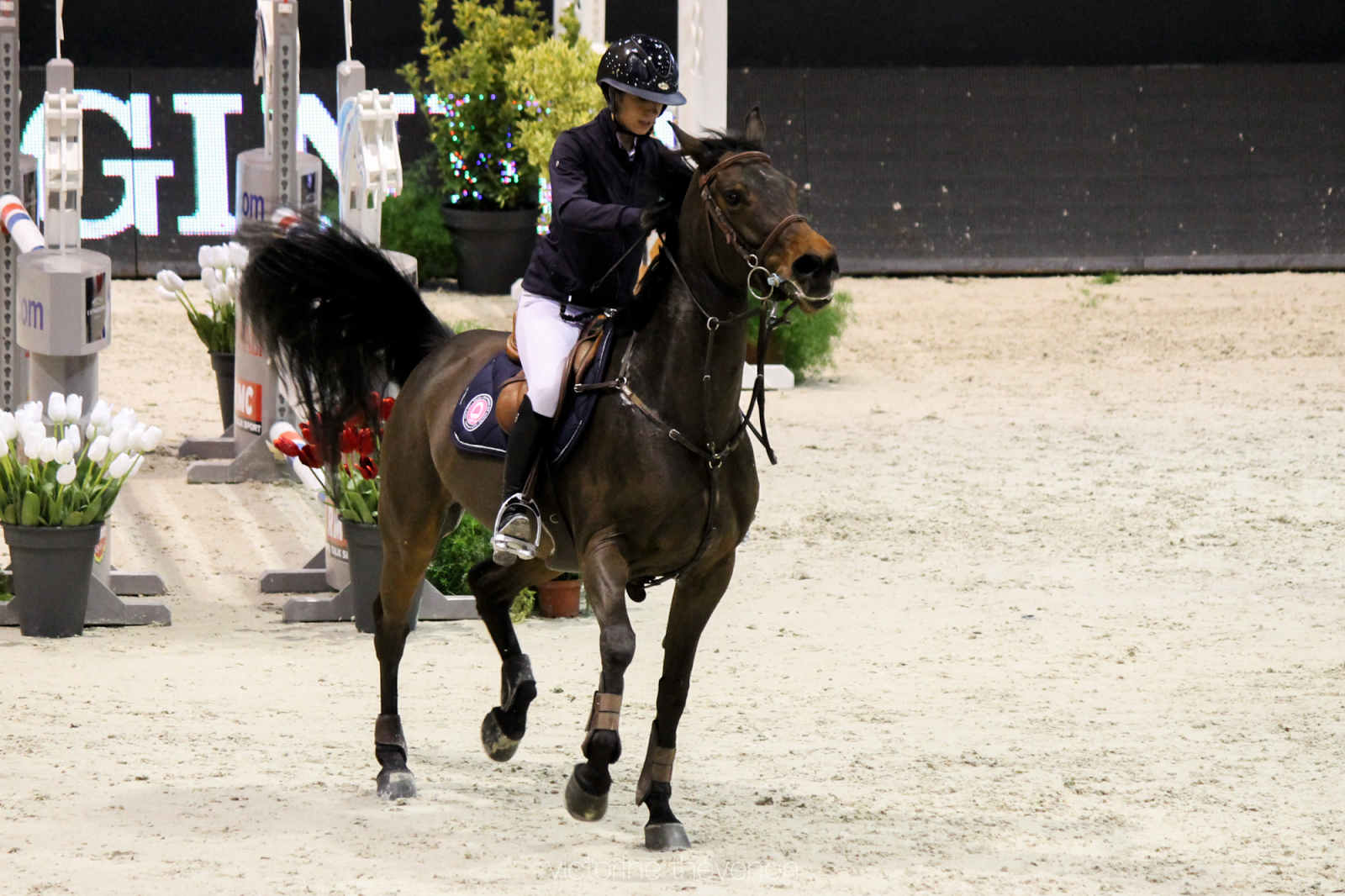 jumping bordeaux jumping bordeaux