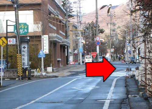 軽井沢 猪 軽井沢 猪