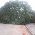 Chuva sem trégua