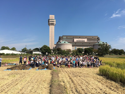 こしがや田んぼアート2015食戟のソーマ収穫祭（稲刈り体験）