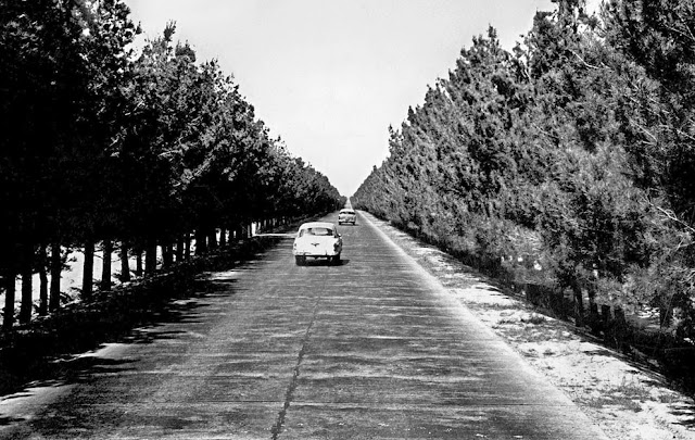 Fotografías de Afganistan en los años 50 y 60