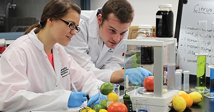 food scientist job description