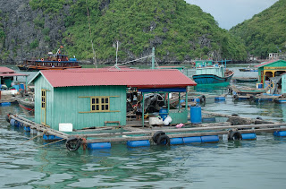 (Vietnam) - Halong Bay - Floating Village