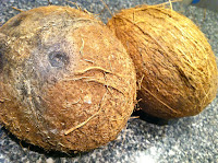 coconut,coconuts,husked,mature