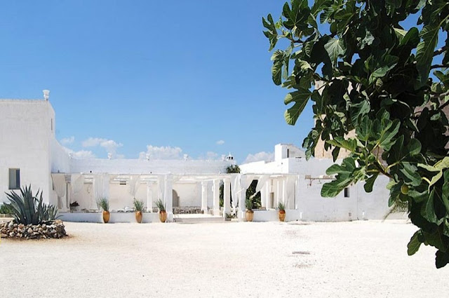 Masseria Potenti, lost among the olive groves