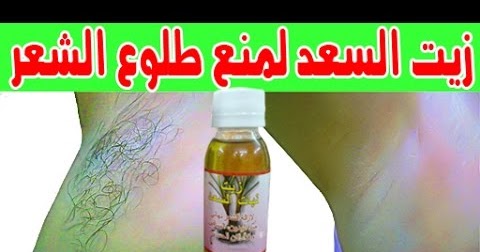الجهاز حرية بعد المدرسة طريقة نبات السعد لتخفيف نمو الشعر Reinaluck Com