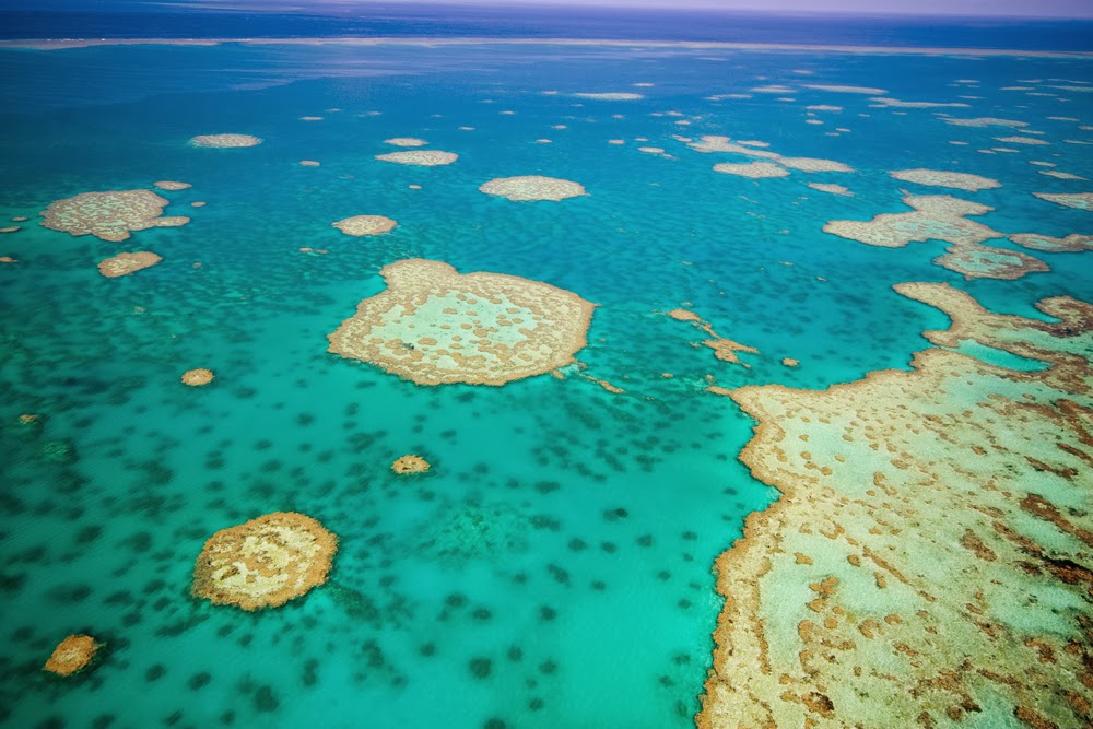 travelling with me... ;): GREAT BARRIER REEF ISLANDS - AUSTRALIA
