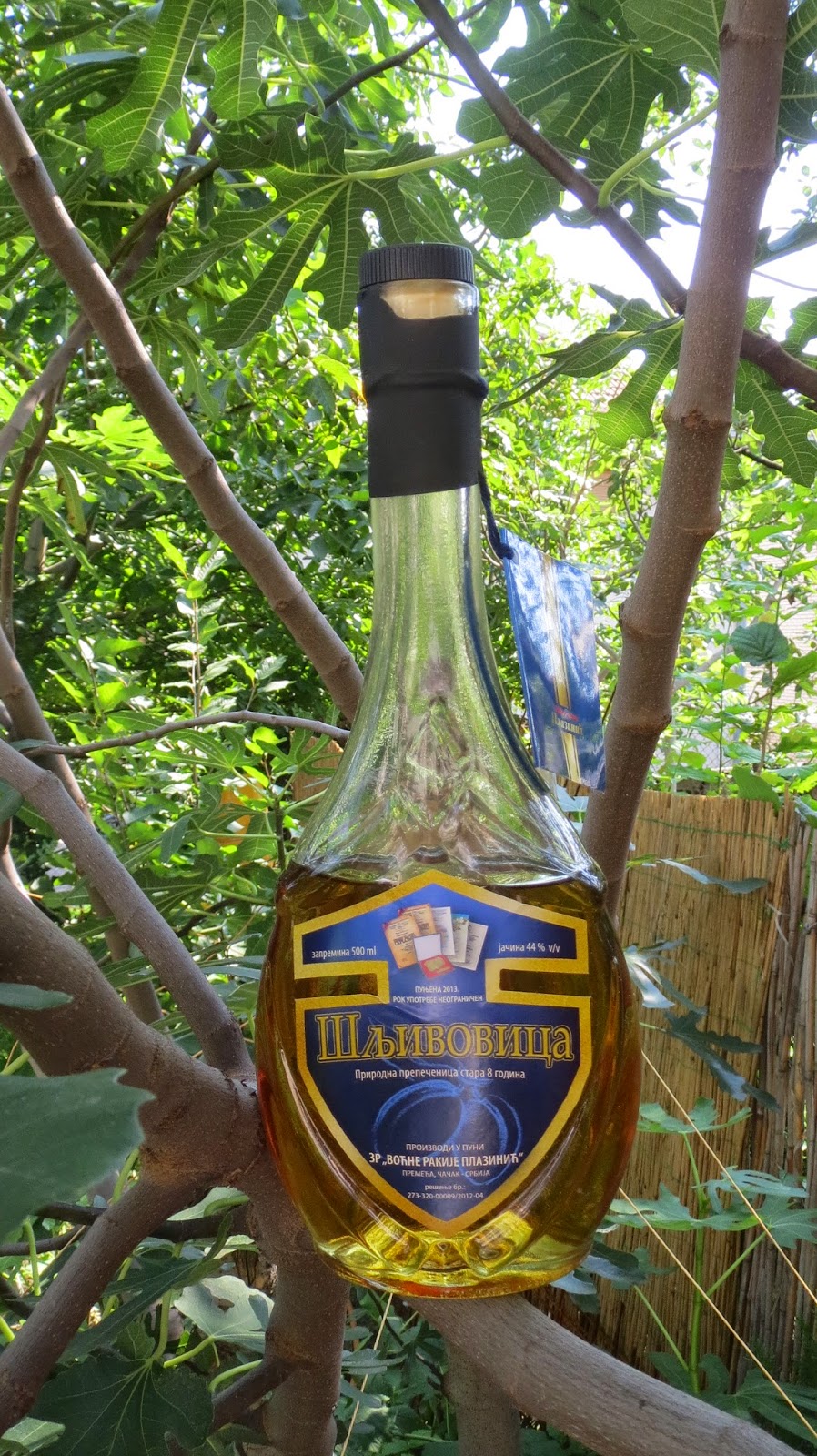 Šljivovica Plazinić