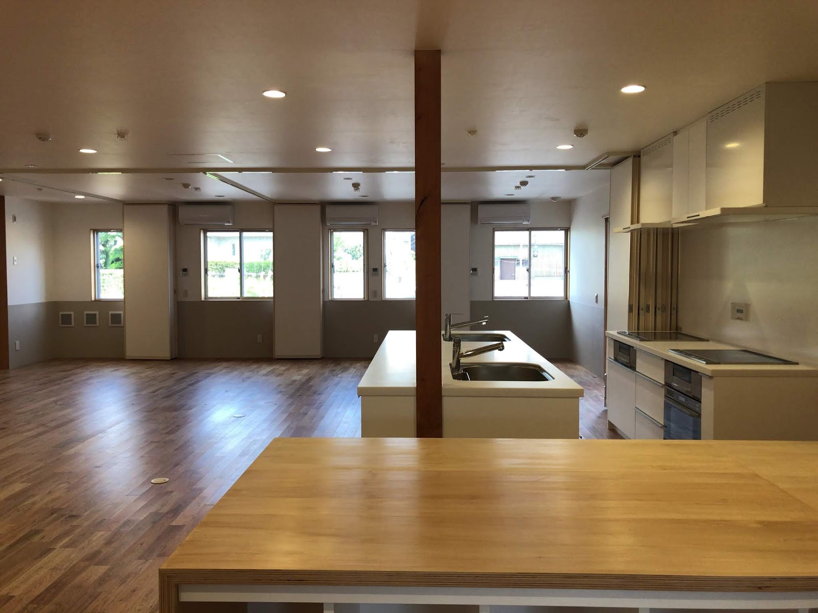 サンスベリア・シリンダーリカ:ケア