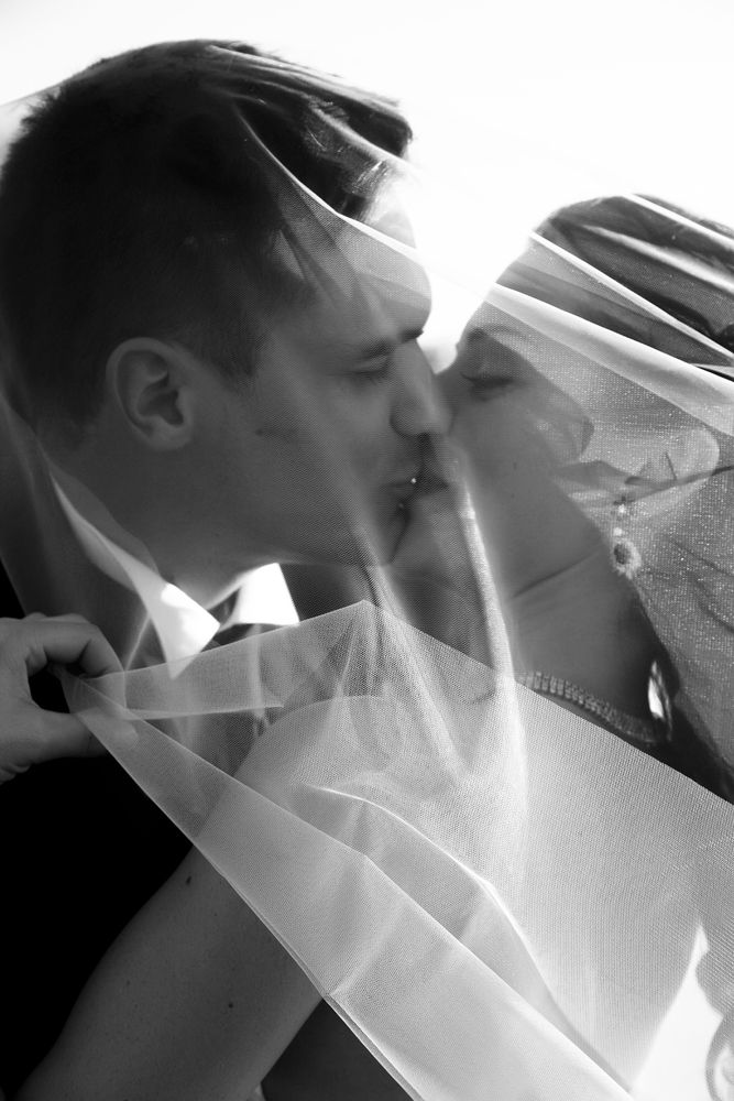 Amore In Bianco E Nero Streaming Ita Altadefinizione