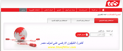 فاتورة التليفون الأرضي من المصرية للاتصالات فاتورة التليفون الأرضي من المصرية للاتصالات