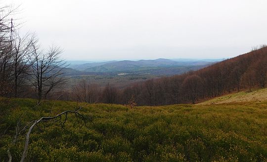 Widok na dolinę Solinki i pasmo graniczne. Widok na dolinę Solinki i pasmo graniczne.