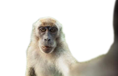 Inspirasi Edit Amp Download Mentahan Png Photoshop Silentware