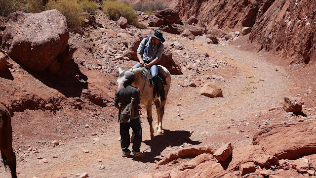 Tupiza Bolivia Horse Ride