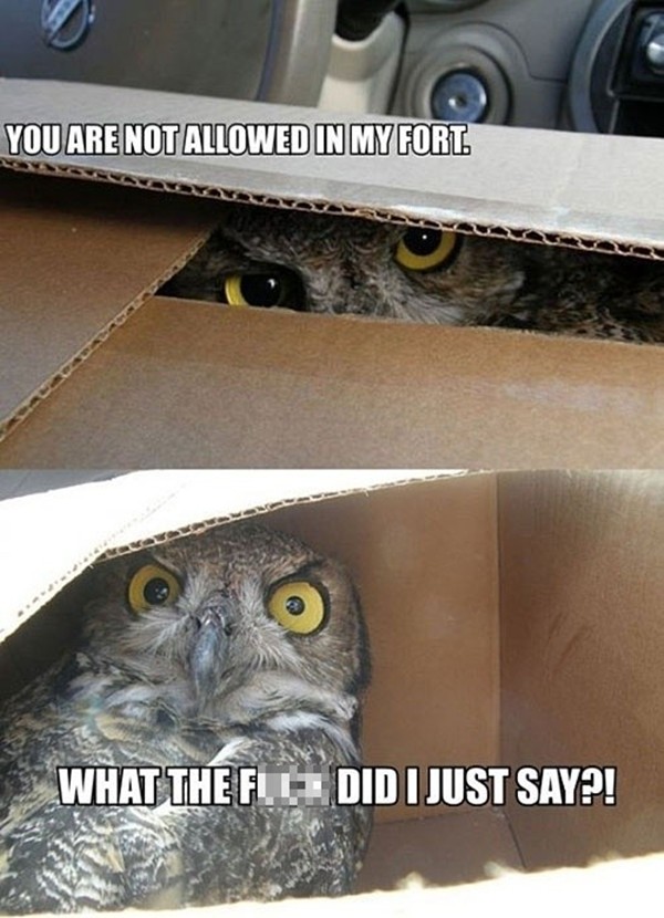 30-funny-animal-captions-part-2-30-pics-amazing-creatures