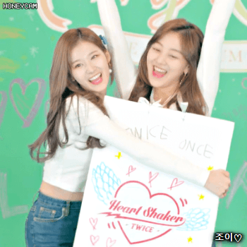 171211 스페셜 브이라이브 트와이스 사랑둥이 사나.gif | 인스티즈