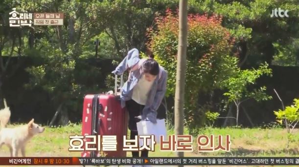 [효리네민박] 아이유의 등장에 사고회로에 문제가 온 남자들.jpg | 인스티즈