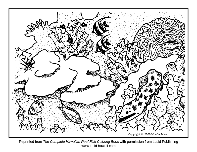 coloring pages coral reefs - photo #43
