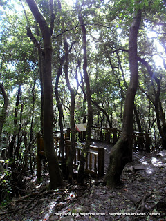 Anaga Sendero de los Sentidos Anaga Sendero de los Sentidos